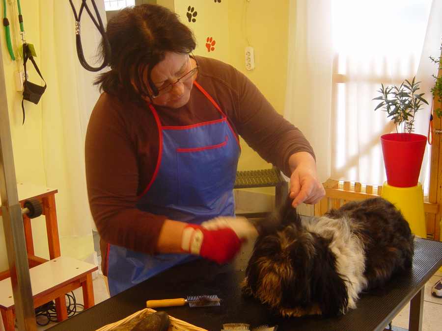 munka-kozben.jpg munka-kozben.jpg